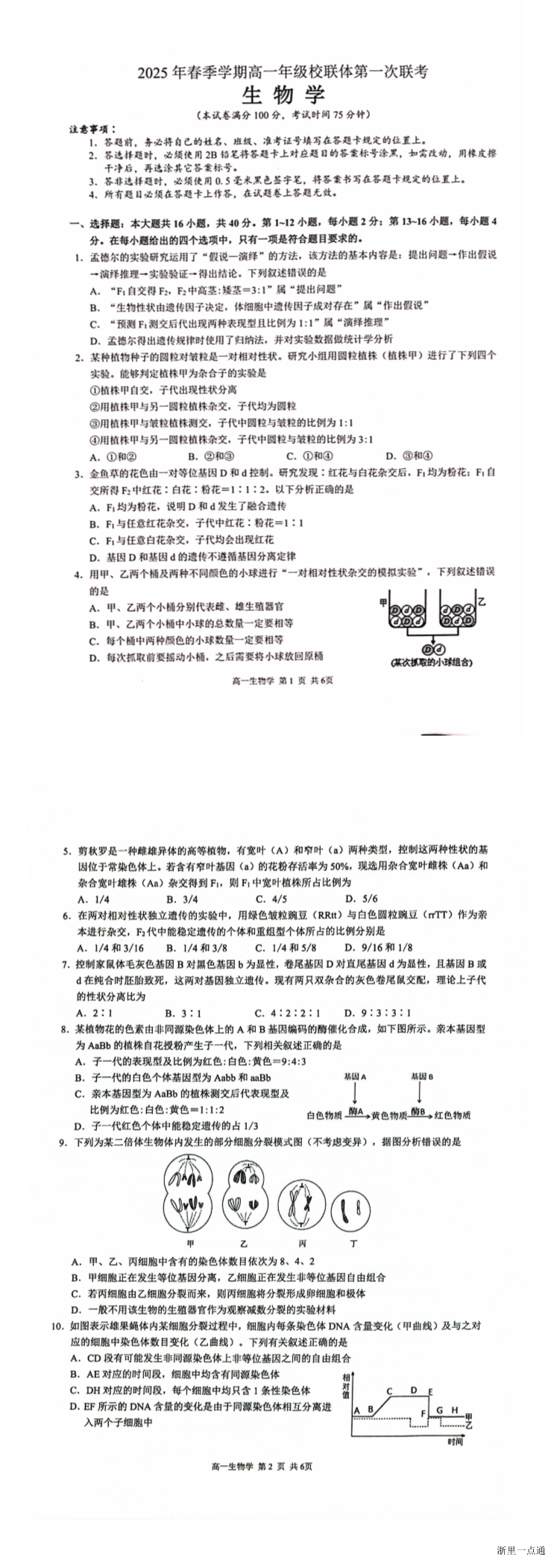 缩略图